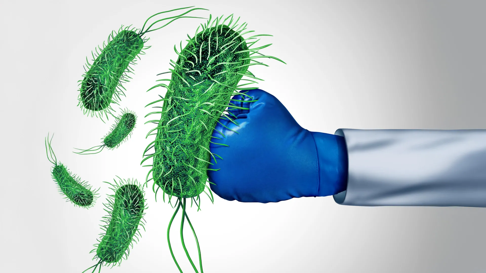 Косметичний інгредієнт проти супербактерій: як madecassic acid з Centella asiatica може змінити правила гри